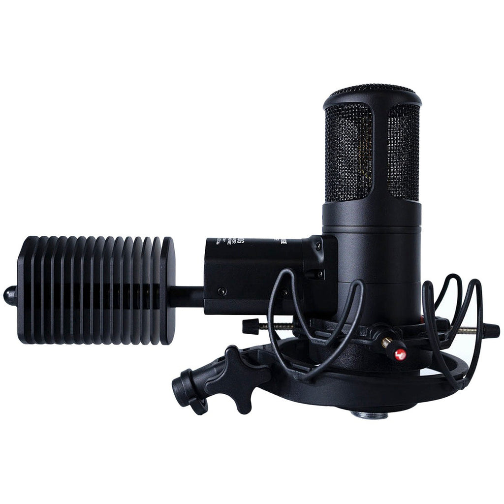 Golden Age Premier GA-8000 Tube Microphone